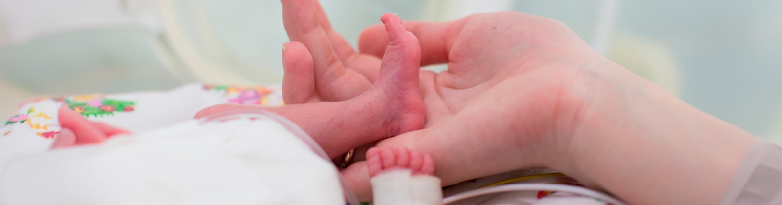 aula-magna-de-enfermagem-debate-direitos-do-recem-nascido-e-assistencia-neonatal-humanizada