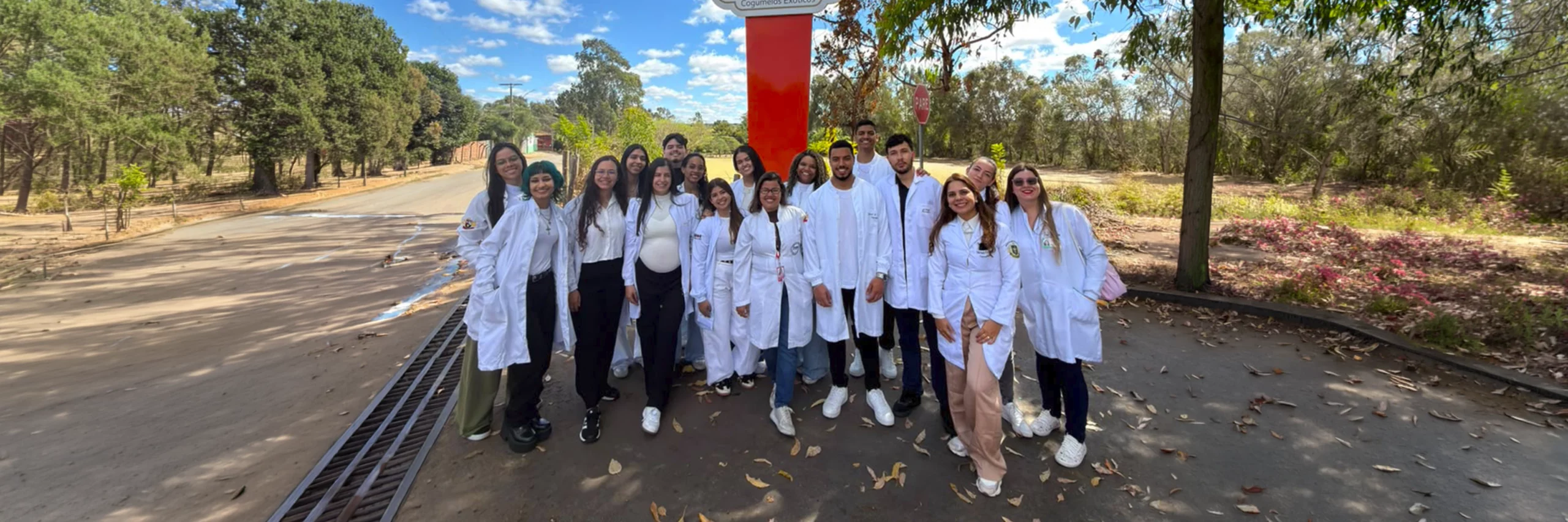 farmacia-mais-de-140-caminhos-para-seguir